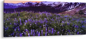 Kép - Vulkán és a virágok (120x50 cm)