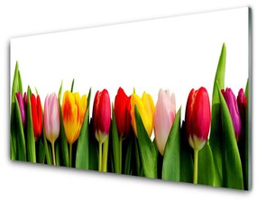 Üvegkép falra üzem tulipán 120x60cm