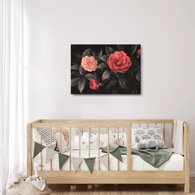 Üveg kép - Vörös virágok sötét háttér előtt (70x50 cm)