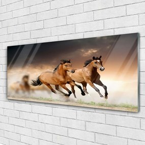 Modern üvegkép lovak Állatok 125x50 cm
