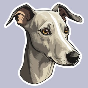 PIPPER. Matrica Whippet Méret: 60cm