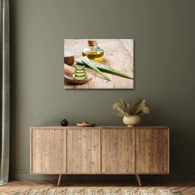 Kép - Aloe vera (70x50 cm)