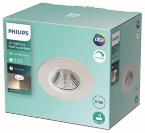 Philips - LED Dimmelhető fürdőszobai lámpa DIVE LED/5,5W/230V 2700K IP65