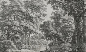 Stílusos Dekoratív Fotótapéta Flizelin Erdei táj 416x254 Ragasztó