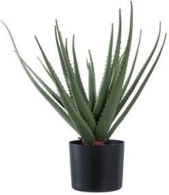 Műnövény (magasság 51 cm) Aloe Vera – House Nordic