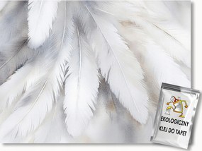 Fotótapéta Flizelina Természet Fehér Toll Pehely Boho Glamour 300x210 ragasztó