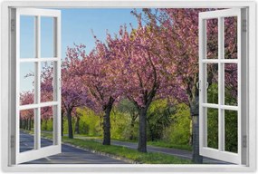 Poszterek 120x80 Fa Fák Kilátás