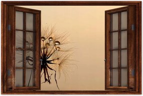 Poszterek 60x40 Pitypang Virág Virágok