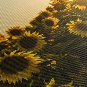 A napraforgó mező képe (90x60 cm)