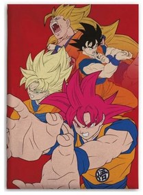 Dragon Ball Hues of Power coral fleece takaró 110x150cm