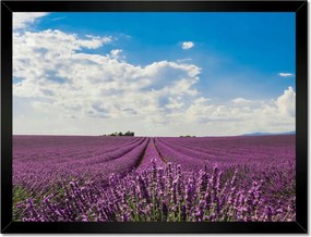 Poszterek keretben 40x30 Levendula mező Levendula
