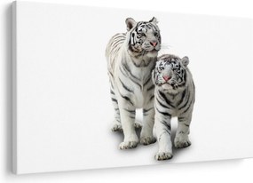 Kép - A fehér tigris (90x60 cm)