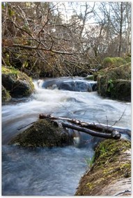 Poszterek 80x120 Okos hegyi folyó