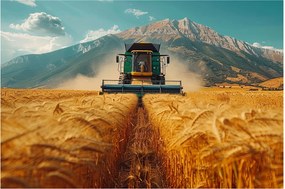 Kép - Zemedelec (90x60 cm)
