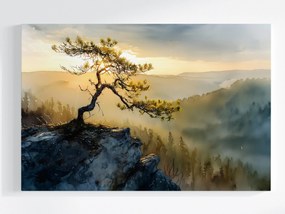 Canvas Vászonkép Lengyelország Hegyek Pienina Sokolica Fenyő 120 x 80