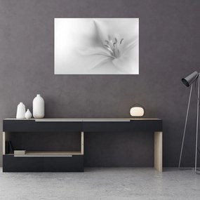 Kép - Delicate Lily (90x60 cm)