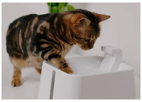 Ivókút kisállatoknak Epic Pet Zen - Plaček Pet Products