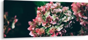 Kép - Hortenzia részlete (120x50 cm)