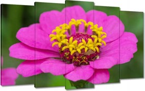 Vászonkép 100x60 Virágok