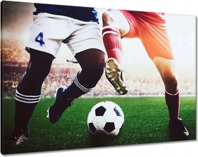 Képek 100x70 Labdarúgók Labdarúgás Ág Dugók