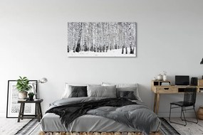 Canvas képek Téli nyírfák 125x50 cm