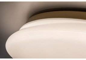 Rabalux 75053 - LED fürdőszobai mennyezeti lámpatest CALIOPE LED/24W/230V IP44 átmérő 41 cm