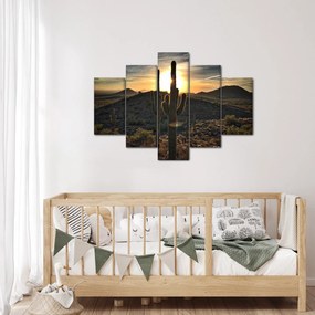 Kép - kaktuszok a napon (150x105 cm)