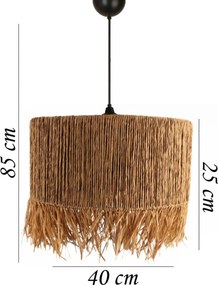 YL657