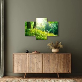 Kép - Varázslatos rét tele pitypanggal (90x60 cm)