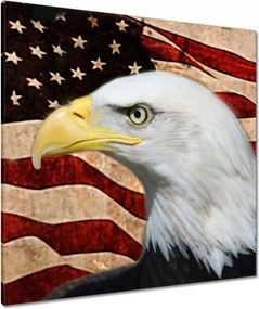 Vászonkép 90x90 Amerikai sas