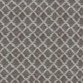 Háztartási Szőnyegpadló Grand 2 019-025 2M