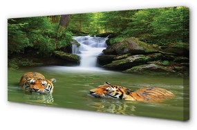Canvas képek vízesés tigrisek 120x60 cm