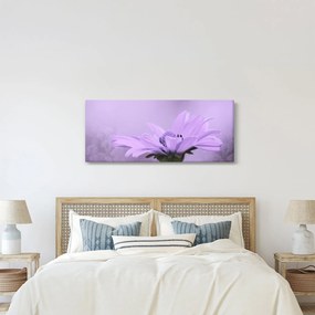 Kép - Ibolya virág (120x50 cm)