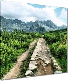 Vászonkép 90x90 Kő út Tátra