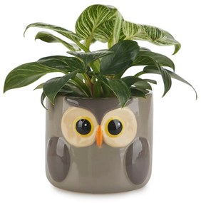 Kerámia virágcserép ø 13,5 cm Owl – Balvi