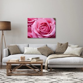 Rózsa képe (70x50 cm)