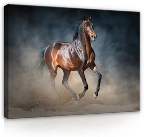 Vászonkép, Vágtázó ló, 60x40 cm méretben