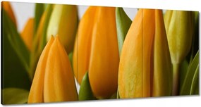 Vászonkép 180x90 Sárga tulipánok