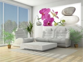 Fotótapéta flizelina Orchideák Kövek Víz Rózsa Szürke Relaxáció 250x104 +ragasztó
