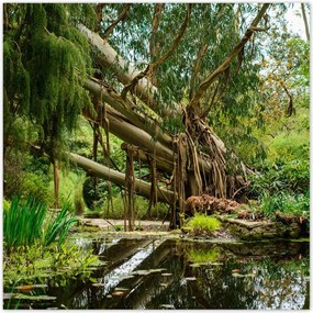 Poszterek 140x140 Tájkép Látvány