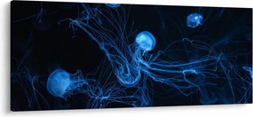 Kép - Medúza (120x50 cm)