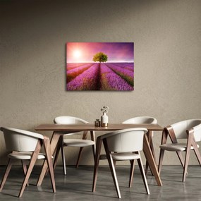 Levendula mező képe (70x50 cm)