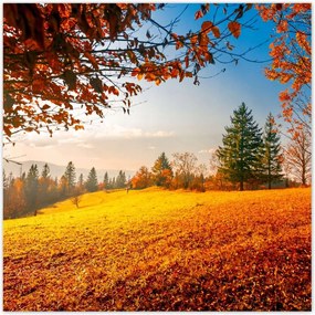 Poszterek 100x100 Őszi táj hegyek