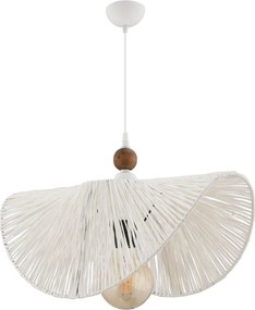 Taco W - White, Brown