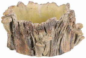 Beton burkolat - tusk with mushrooms, 32 x 29 x 16cm