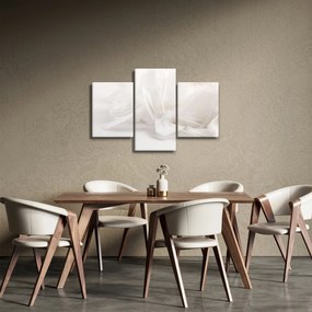 Kép - Toll (90x60 cm)