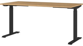 Íróasztal elektromosan állítható magassággal, tölgyfa dekoros asztallappal 80x160 cm Agenda – Germania