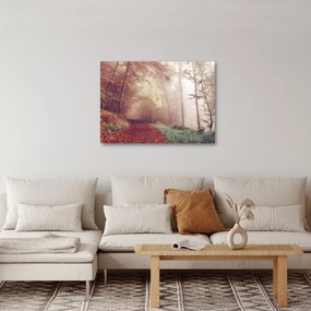 Kép - Őszi séta az erdőben (70x50 cm)