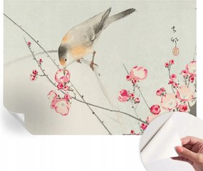 Dekoratív öntapadós fotótapéta Hálószobába Virágos madár 208x146 cm