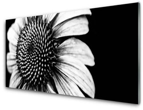 Akrilkép Természet virág növény 125x50 cm